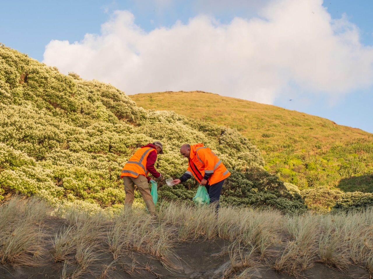 Questionaire content